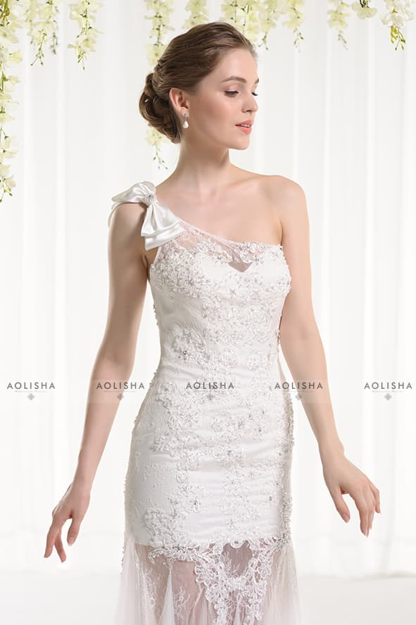 Short Sleeve Round Collar Inllusion Lace Applique Ball Gown